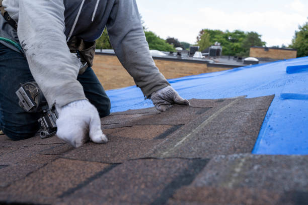 Professional Roofing Contractor in Farmers Loop, AK