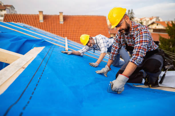 Best Roof Waterproofing Services  in Farmers Loop, AK