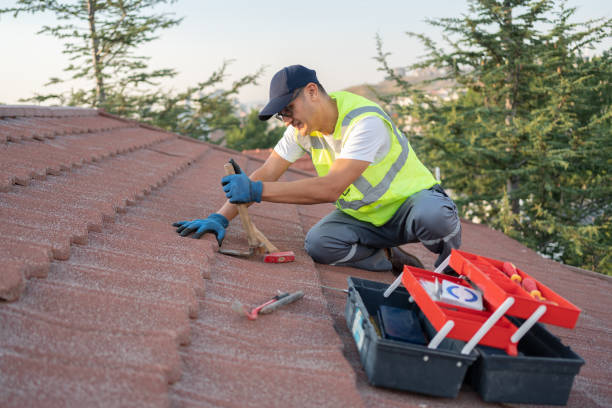 Best Residential Roofing Contractor  in Farmers Loop, AK